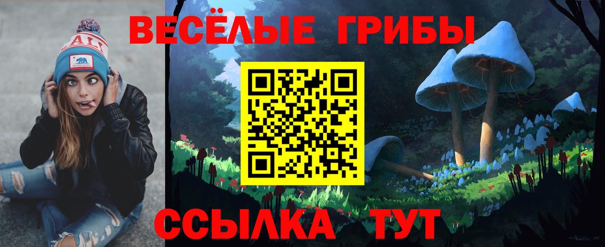 Галлюциногенные грибы Cubensis Алексин