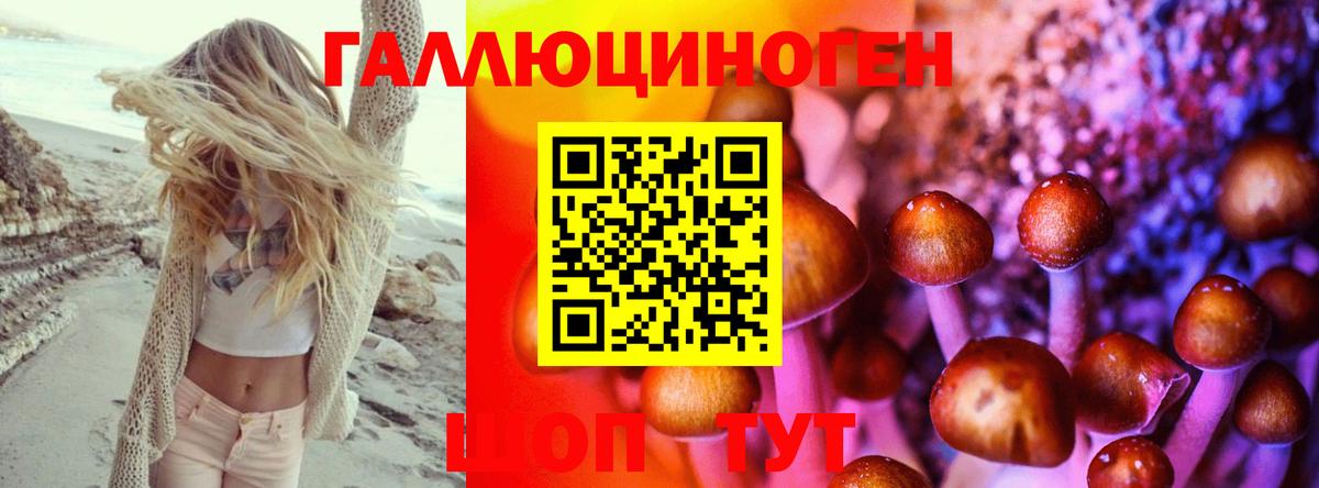 Псилоцибиновые грибы прущие грибы  Вход с VPN  Псилоцибиновые грибы Cubensis  Алексин 